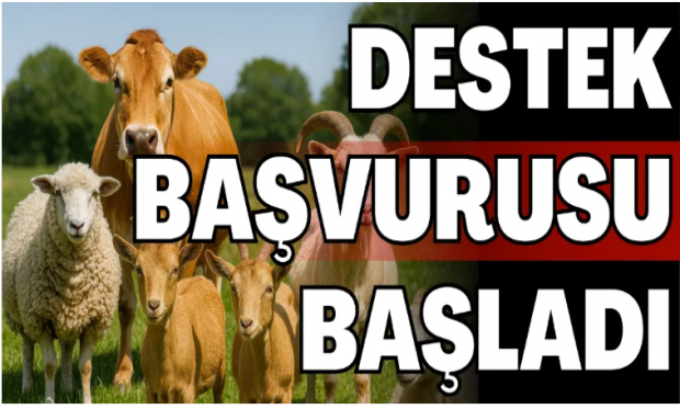 2025 Yılı 1. Dönem Kuzu/Oğlak Desteklemeleri Başvuru